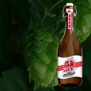 KUJIRA 鲸 都鲜酿精酿啤酒锁鲜装德式小麦800ml