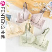 FENTENG 芬腾聚拢收副乳防下垂无钢圈调整型文胸