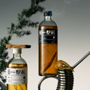 一整根人参水 480mL*2瓶