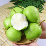 脆甜多汁！南象婆 陕西早酥梨 整箱5斤