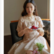 PLUS会员：DUSHU 独束 女士法式碎花连衣裙 23DS82036