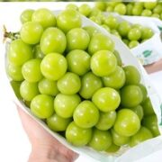 阳光玫瑰晴王葡萄 5斤装
