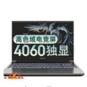 京东百亿补贴：七彩虹（Colorful） 将星X15-AT 15.6英寸 i5-13500H/RTX4060/2K165HZ 16G内存/1TB固态