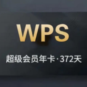 WPS超级会员一年12个月