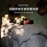 SIDANDA 诗丹娜 德国原装进口95白鹅绒夏被 220*240cm