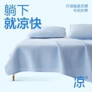 YANXUAN 网易严选 A类抗菌防滑凉席 蓝色*床单款 120*200cm