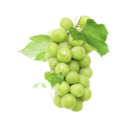惠寻 阳光玫瑰葡萄净重 4.5斤