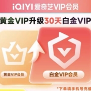 爱奇艺 黄金会员升级白金会员月卡