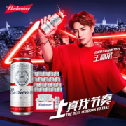 Budweiser 百威 经典醇正啤酒 450mL*20瓶