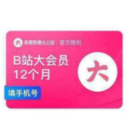 哔哩哔哩 会员年卡 12个月bilibili