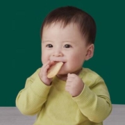 十大热门婴儿米饼排行榜