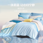 LOVO 乐蜗家纺 星河涟漪 全棉四件套 1.5米床