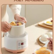 美的 MD-DZ08Easy101 隔水精炖陶瓷电炖盅