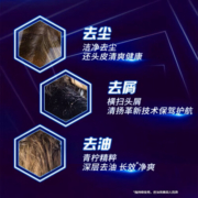 清扬男士洗发水750ml 清爽控油去屑止痒蕴含氨基酸养护头皮净澈去油 水润养护型 750g*1瓶