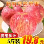 京愿 陕西红富士苹果 2.5kg
