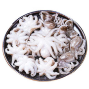 青岛八爪鱼 400g