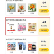 PLUS会员、即享好券：京东国际 满21-20元补贴券