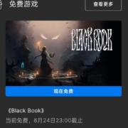 EPIC 喜加一  免费领游戏《黑书》 wzl