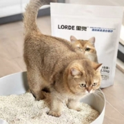 19日10点、限3000件、聚划算百亿补贴：LORDE里兜 强效除臭混合豆腐猫砂升级2.5kg
