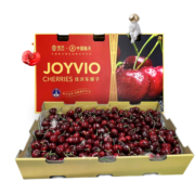 佳沃（joyvio）智利进口车厘子J级 5kg 礼盒装 果径约26-28mm 水果礼盒
