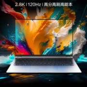 MECHREVO 机械革命 无界14 Pro 14英寸笔记本电脑（i5-13500H、16GB、1TB、120Hz、2.8K)