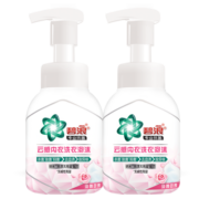 碧浪 Ariel内衣洗衣泡沫去血渍除异味杀菌抑菌淡雅玫瑰香260g*2瓶