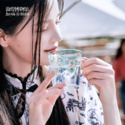 敦煌博物馆 纹样系列 藻井纹样耐热玻璃杯碟套装