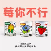 风畔 神奇桌面迷你绿植 1罐