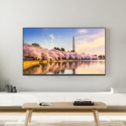 乐视电视（Letv）F65 65英寸 智慧屏 4K超高清全面屏 2GB+16GB大存储 四核智能语音网络液晶平板电视机