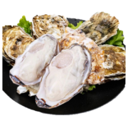 plus会员：牧海翁 乳山生蚝 4XL号 约4.5斤
