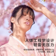 飞利浦（PHILIPS） 蓝牙耳机降噪真无线 超长续航 运动防水 适用苹果安卓华为小米手机 男女朋友生日礼物TAT2206 曜石黑