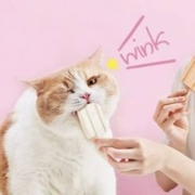15点再补券、天降福利：RANOVA 朗诺 鸡肉配方 猫咪冻干雪糕 48g