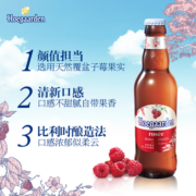 Rosée福佳玫瑰红啤酒精酿果味248ml*6瓶装果啤比利时风味啤酒
