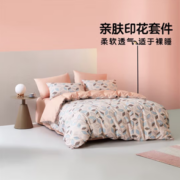 柔软舒适！LOVO 乐蜗家纺 床上磨毛四件套 格律 1.8米床