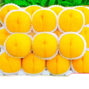plus会员：珞宴山东蒙阴锦绣黄桃  特大果5斤装