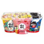 plus会员：雅弥优格 嚼绊酸奶（蔓越莓+草莓荞麦+捏酸奶）145g*6杯*2件