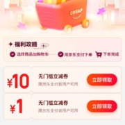 京东 挑好物上京东 领1元无门槛支付券 wzl