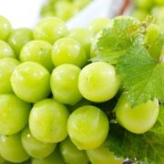 正宗阳光玫瑰葡萄 净重4.5斤 单果8-12g