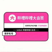 bilibili 哔哩哔哩 大VIP会员年卡 12个月 TJ