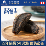 欧参力得 加拿大进口 OPF野生淡干北极海参18g（2-3只试吃装）