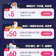 京东金融 白条行囊 便利出行记 WZL