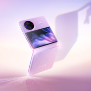 vivo X Flip 12+256G