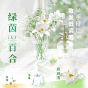 LION狮王纳米乐微胶囊植萃留香柔顺抑菌洗衣凝珠绿茵百合23颗*1盒
