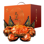 【活蟹】宿有千香精品六月黄2.3-2.6两8只鲜活大闸蟹去绳足重螃蟹海鲜水产礼盒装