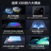 vivo X80 天玑9000旗舰芯片 自研芯片V1+ 蔡司T*光学镜头 双电芯80W闪充 拍照手机 旅程 12GB+256GB