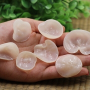 东北特产，农大玉耳 长白山白玉木耳 200g