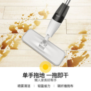 德尔玛喷水拖把免手洗懒人拖把地板瓷砖拖布干湿两用拖把TB500
