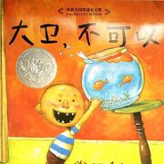 《大卫不可以》绘本全套5册