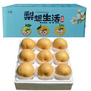 知己有你 秋月梨 4.5斤（7-9枚）大果彩箱