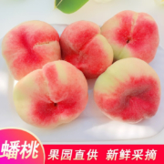 京东百亿补贴：平谷蟠桃 5斤 单果75g起